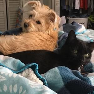 Meet your Posher, Tracey